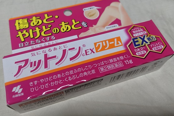 大腿骨転子部骨折の記録